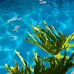 Piramides Costa Adeje (Tenerife)