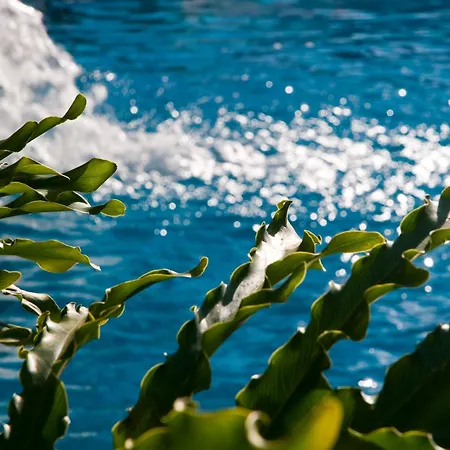 アパート Piramides *