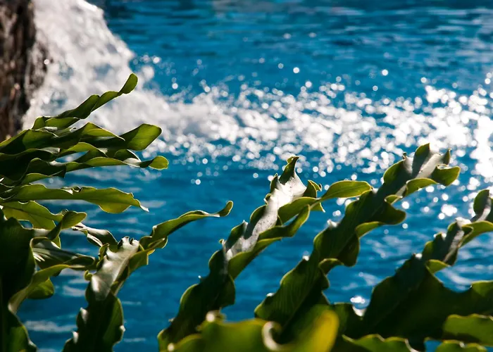 アパート Piramides *