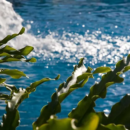 Piramides Apartment Playa de las Americas (Tenerife)