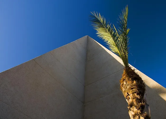 Appartement Piramides Costa Adeje (Tenerife)